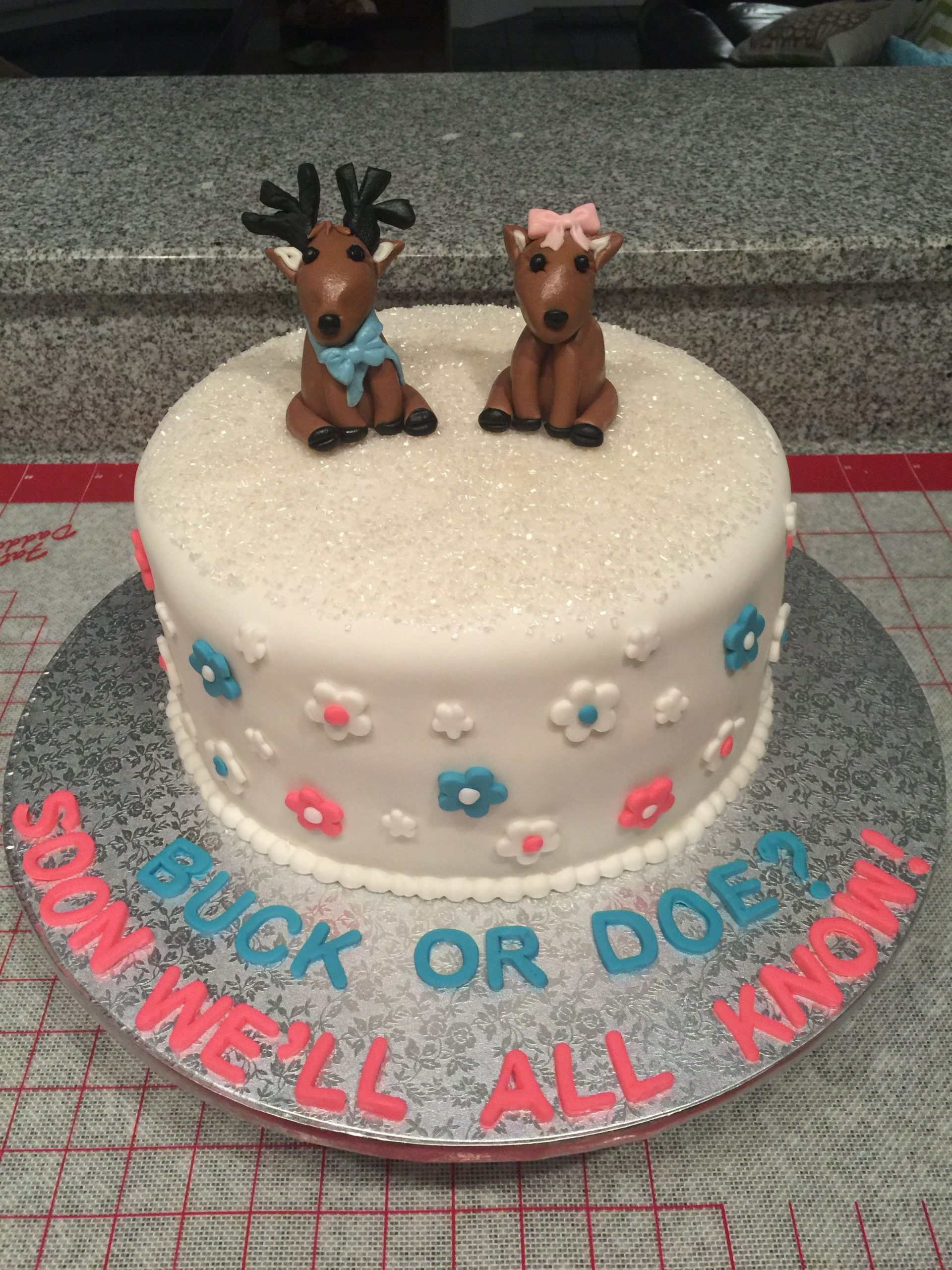 Buck or Doe Gender Reveal Cake