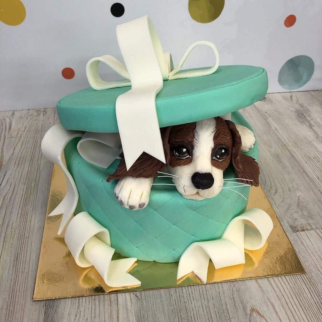 cute cake with a cute dogâ¦