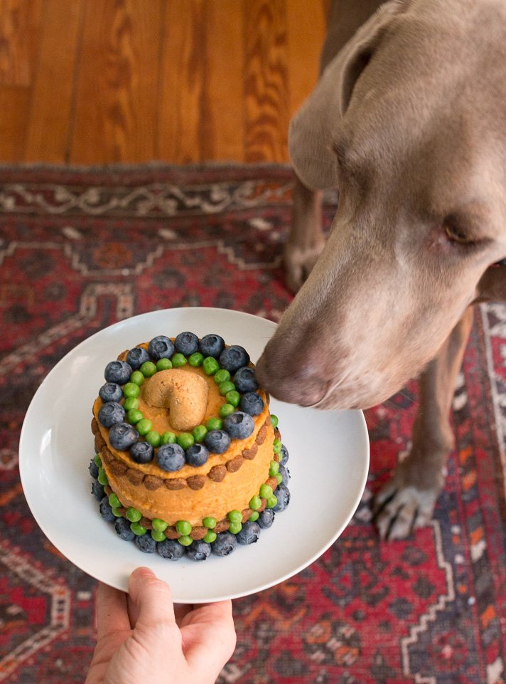 Dog Birthday Cake Recipe: Meatloaf &  Veggies