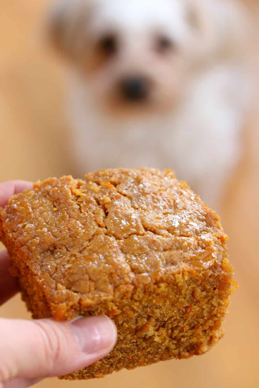 Dog Cake Recipe