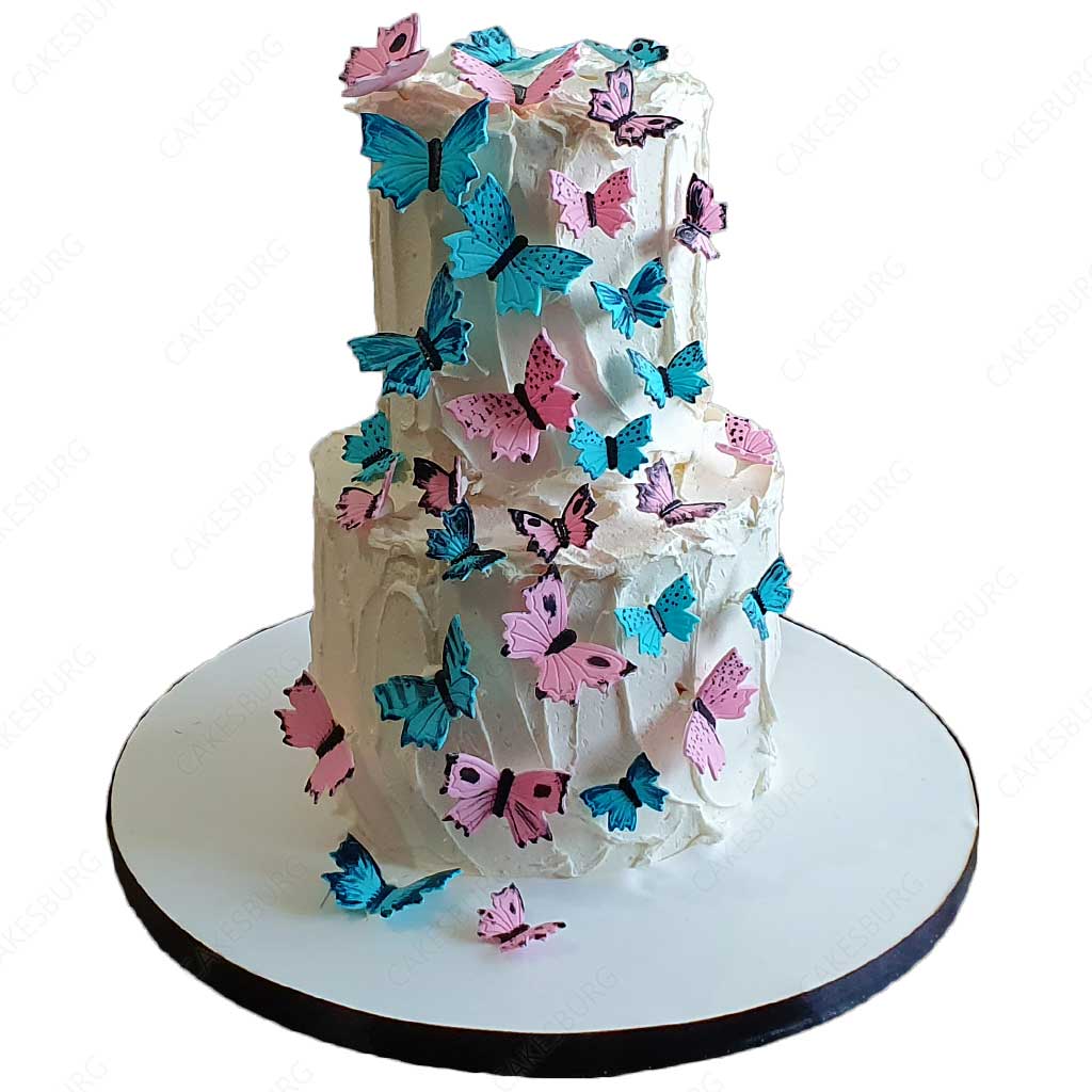 Elegant Baby Gender Reveal Cake  CAKESBURG Online Premium Cake Shop