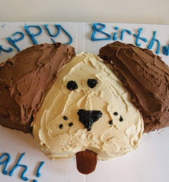 How To Make A Dog Birthday Cake From Scratch
