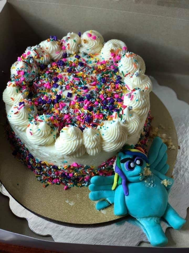 Rainbow dash devouring this birthday cake. She ate a little too much ...
