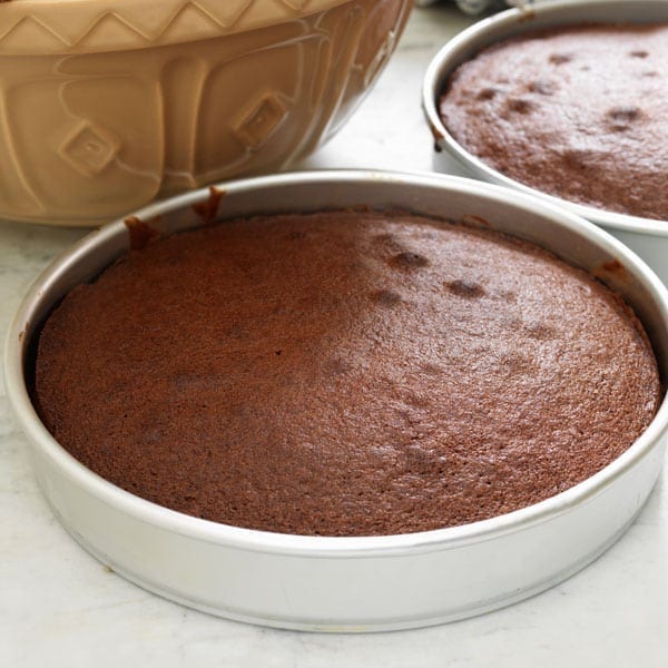 Simple chocolate cake recipe that takes just 40 mins
